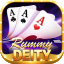 bonus rummy game icon